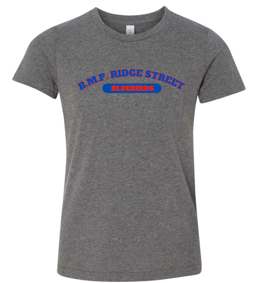 B.M.P. RIDGE STREET BLUEBIRDS GREY TSHIRT