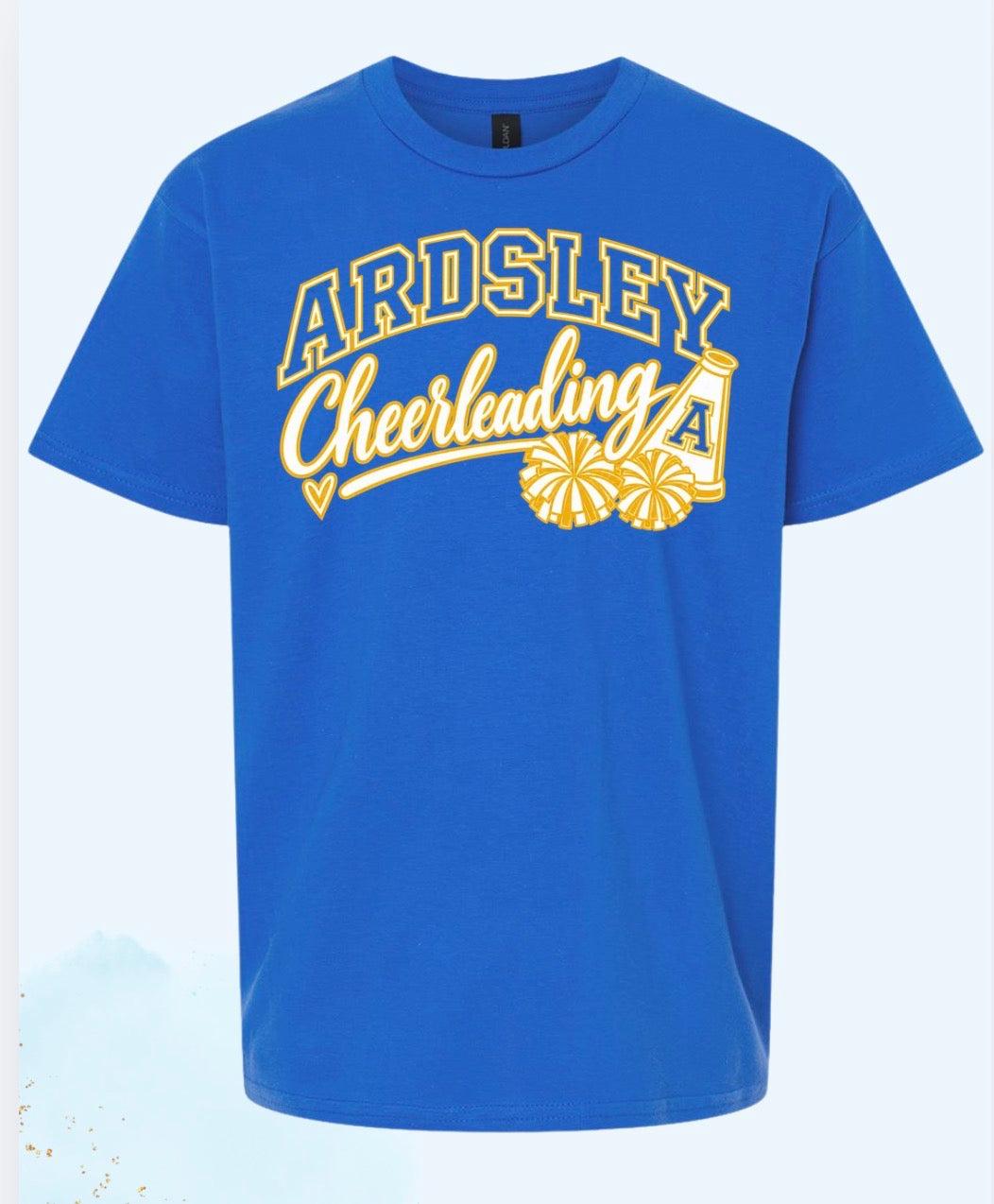 Ardsley Cheerleading