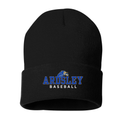 Ardsley Baseball Embroidered Knit Hat - Black
