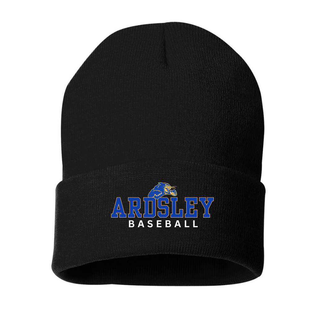 Ardsley Baseball Embroidered Knit Hat - Black