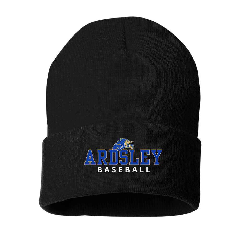 Ardsley Baseball Embroidered Knit Hat - Black