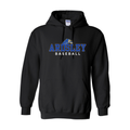 Ardsley Baseball Hooded Sweatshirt - Black