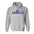 Ardsley Baseball Hooded Sweatshirt - Sport Grey