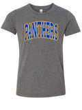 Panthers Triblend Grey Shirt