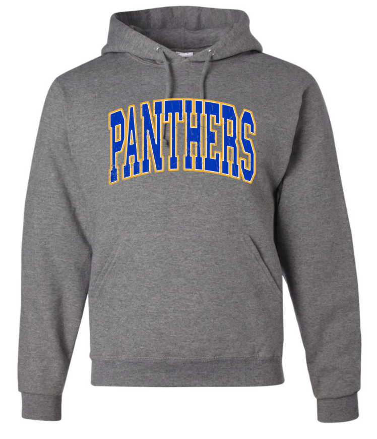 Panthers Sweatshirt in Grey